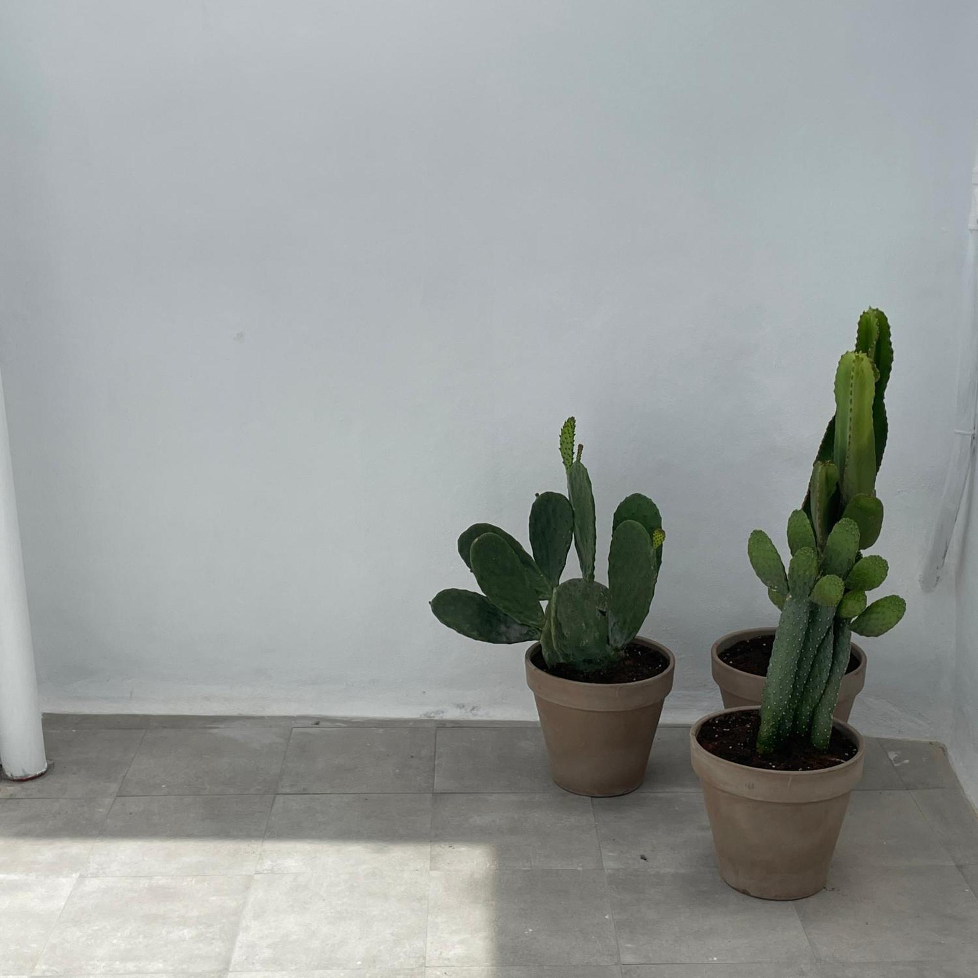 شقة Casa Florinda طريفة المظهر الخارجي الصورة