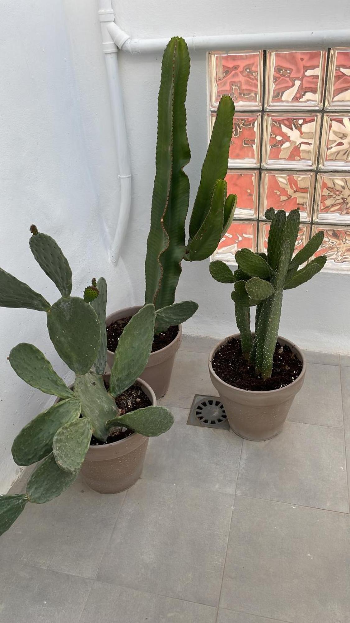 شقة Casa Florinda طريفة المظهر الخارجي الصورة